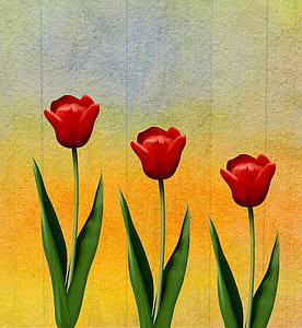 three red rose flowers illustration thumbnail