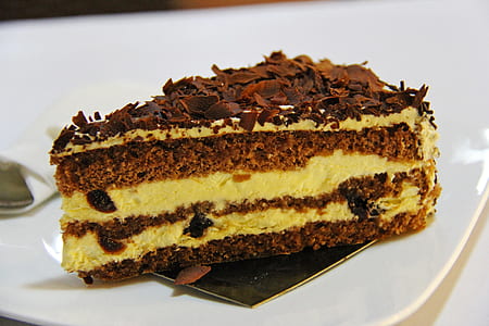slice of chocolate cake thumbnail