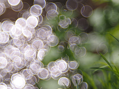 bokeh photography thumbnail