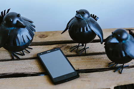 Little black plastic birds with a smartphone on a shelf thumbnail