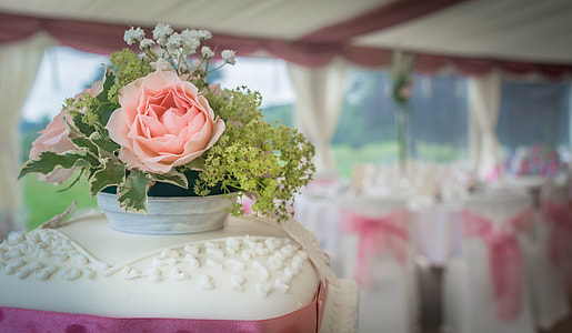 white ceramic vase on table thumbnail