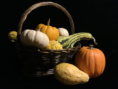 basket of squashes thumbnail