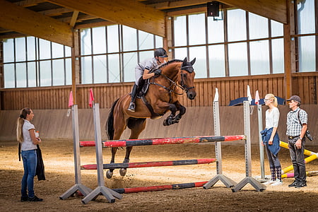 man riding brown horse thumbnail