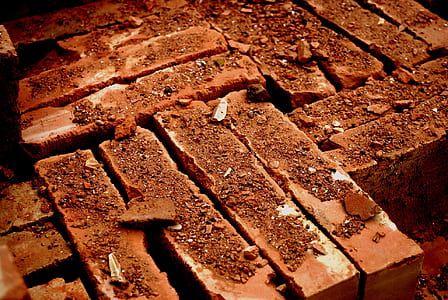 red bricks thumbnail
