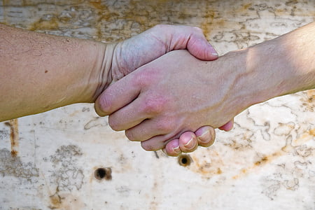 two persons shaking each other's hands thumbnail