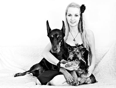 woman hugging Yorkshire terrier and Doberman pinscher thumbnail