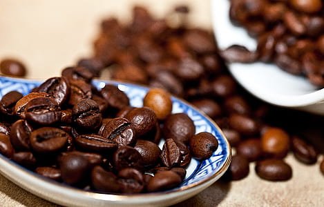 coffee, arabica, coffee beans, grain coffee thumbnail