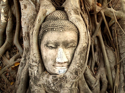 Gautama Buddha head-bust thumbnail