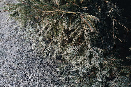 Winter freeze thumbnail