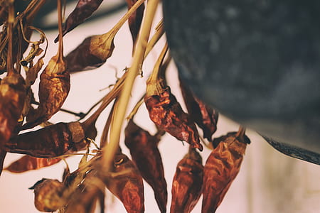 close-up photography of dried chili thumbnail
