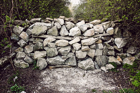 gray wall rocks between plants thumbnail