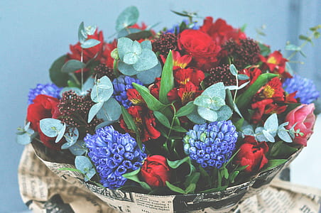 red and purple flower bouquets thumbnail