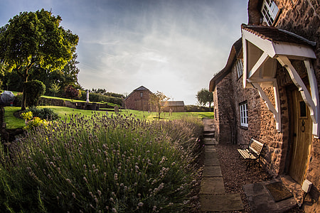 fish-eye photography of house near flowers in bloom thumbnail