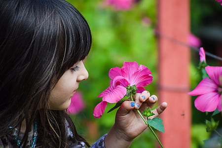 girl holding purple petaled flower during daytime thumbnail