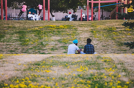 Two Men Sitting on Yellow Flower Field in the Park thumbnail