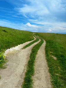 green grass field thumbnail