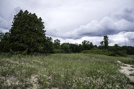 Clouds over the sandy landscape at Newport State Park, Wisconsin thumbnail