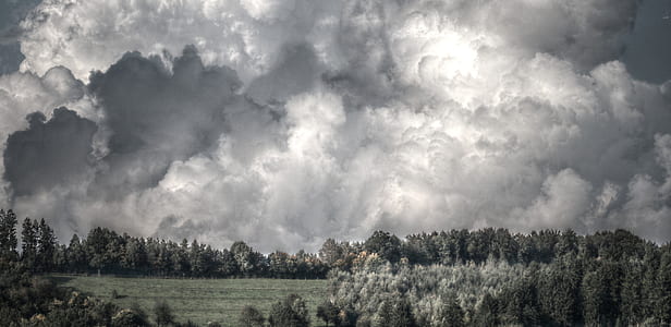 green trees under white and gray clouds thumbnail