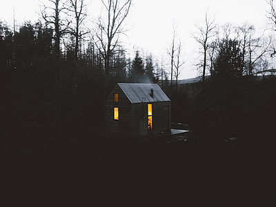 brown shed surrounded by trees thumbnail