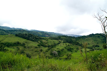 green grass mountain thumbnail