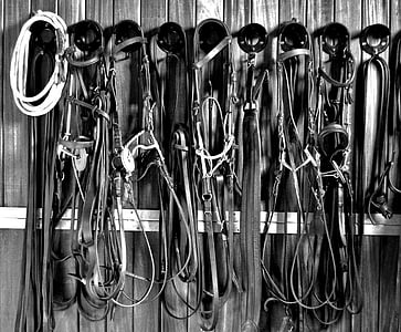 gryscale photo of straps thumbnail