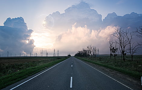 concrete road leading to grass field thumbnail