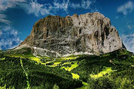green leafed tree near mountain thumbnail