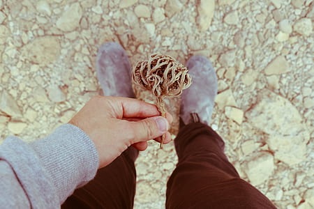 person's holding dry leaf thumbnail