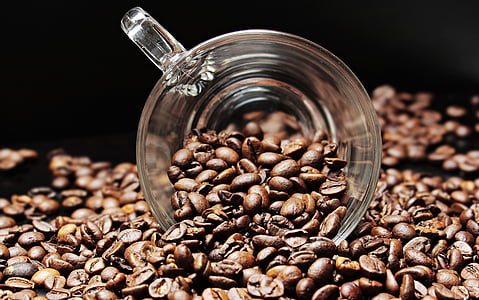 coffee bean lot thumbnail