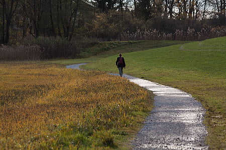 person walking along grass field pathway thumbnail