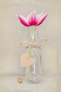 white and pink flower in clear glass bottle decor thumbnail