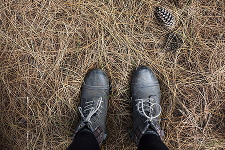 person standing on dried grass thumbnail