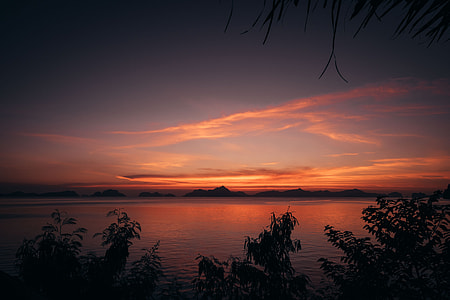 trees near body of water during sunset thumbnail