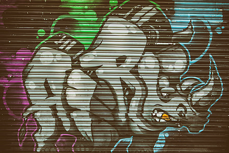 Urban street art depicting a rhino thumbnail