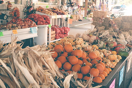 assorted vegetables on display thumbnail