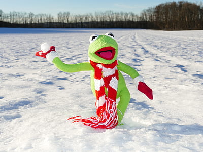 green and red kermit the frog crochet doll standing on snow thumbnail