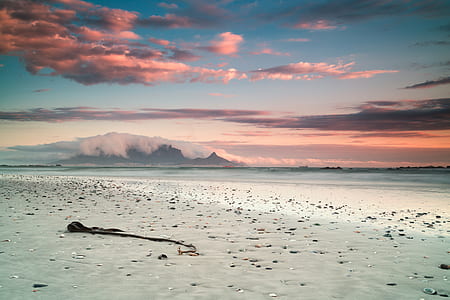 seashore under blue and sky during daytime thumbnail