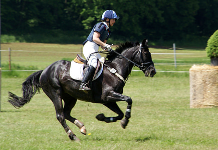 jockey in blue uniform riding black horse thumbnail