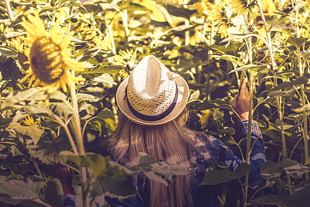 woman touching sunflower plant thumbnail