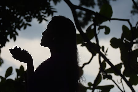 silhouette of woman near tree thumbnail