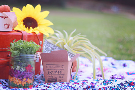green lettuce and brown box on floral mat thumbnail