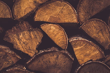 Pile of Wood Logs thumbnail
