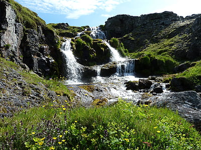waterfalls surrounded with plants during daytime thumbnail