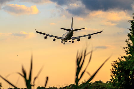 airline on flight thumbnail