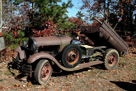 trees, car, vehicle, vintage thumbnail