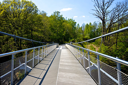 bridge surrounded by trees thumbnail