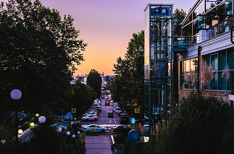 Street in Middle of Trees and Buildings thumbnail