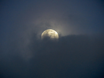 white moon thumbnail