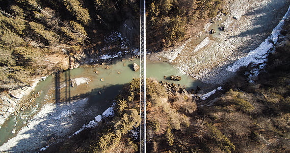 gray metal bridge across forest during daytime thumbnail