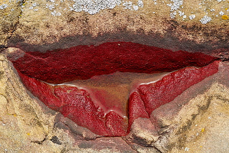 lip art of wall thumbnail